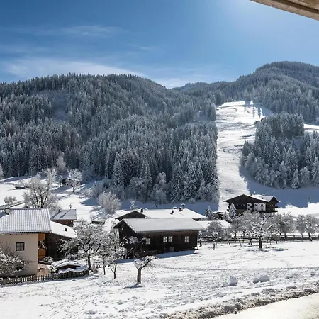 Apartment Tirolee Marchegg - Chalet Wildschoenau